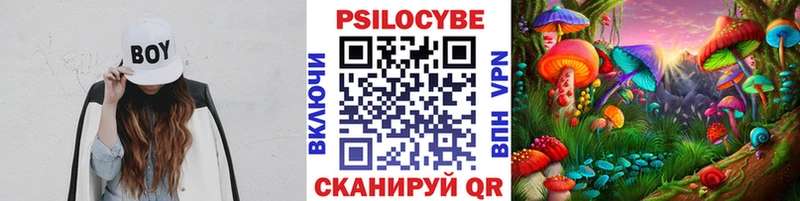 Псилоцибиновые грибы ЛСД  где купить наркотик  Омск 