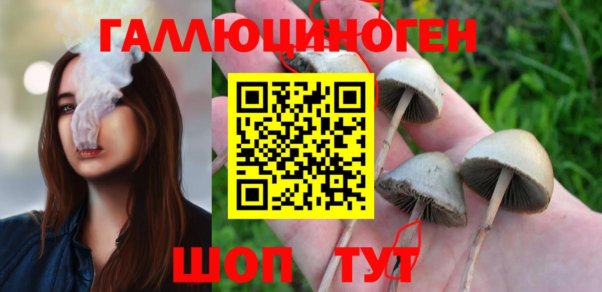 Псилоцибиновые грибы мухоморы  Вход с VPN  Омск 